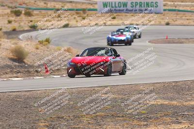 media/Oct-25-2025-West Coast Racing (Sat) [[9fdcbcd09c]]/Yellow group/Turn 4/